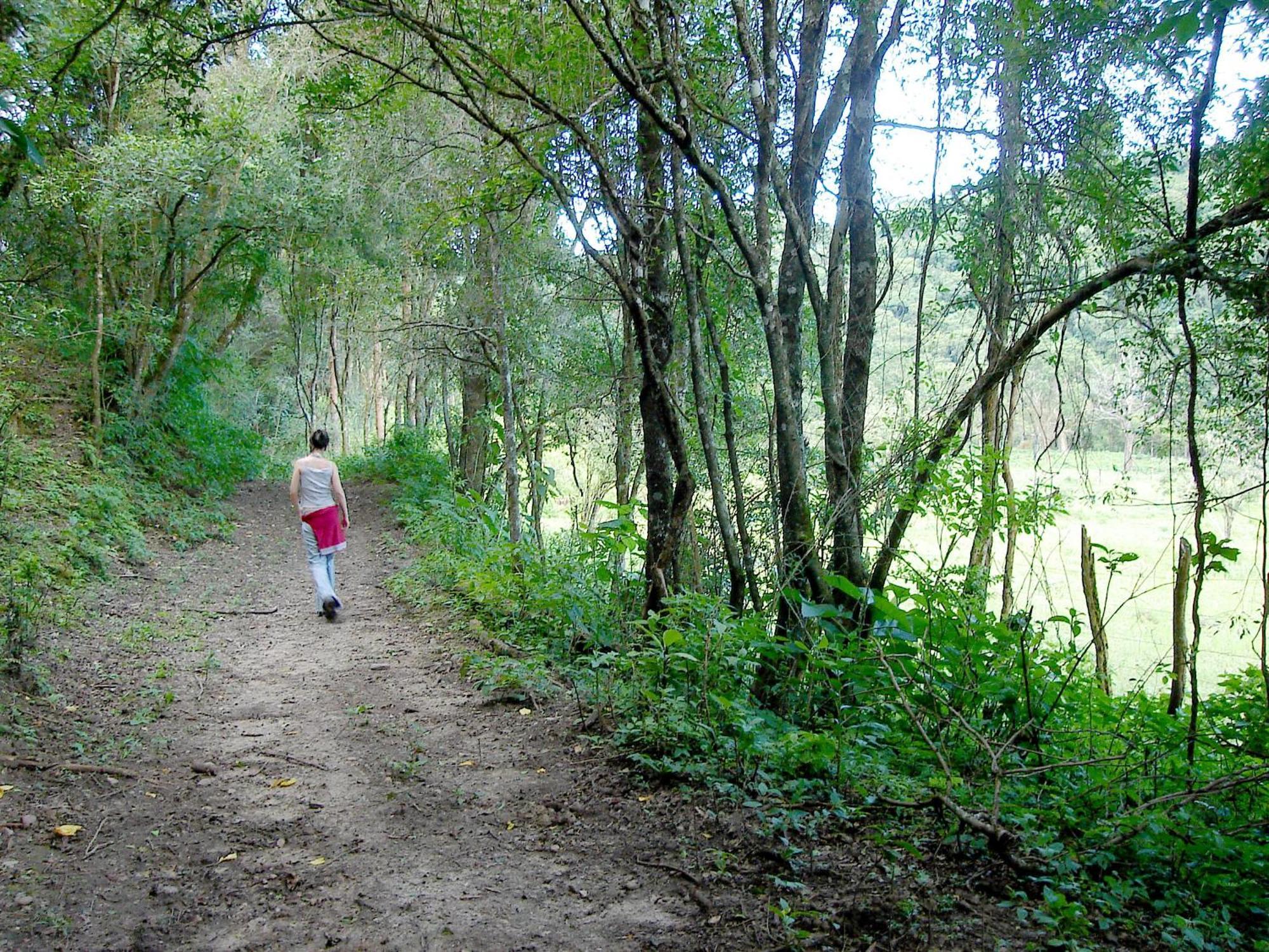 Finca La Colorada 산살바도르 드 쥬쥬이 외부 사진
