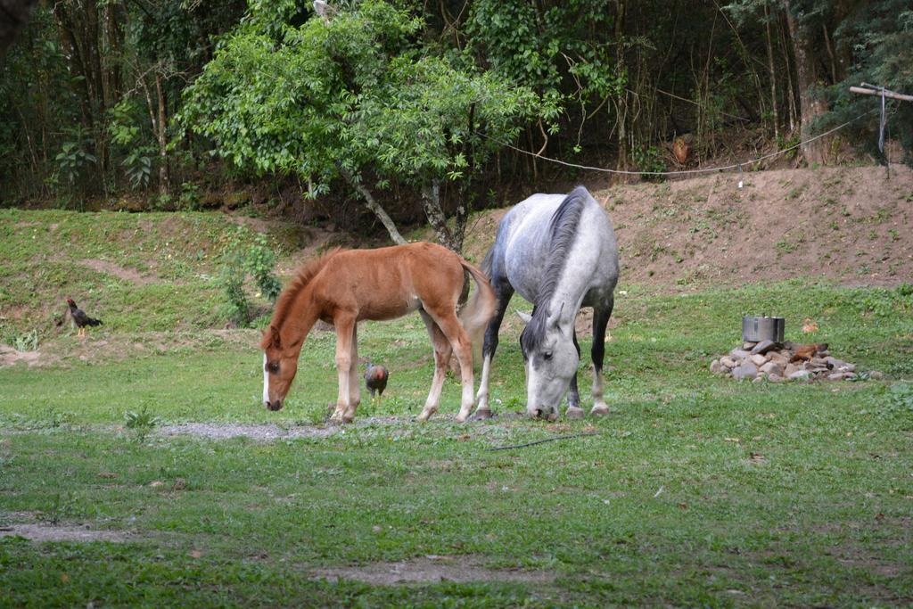 Finca La Colorada 산살바도르 드 쥬쥬이 외부 사진